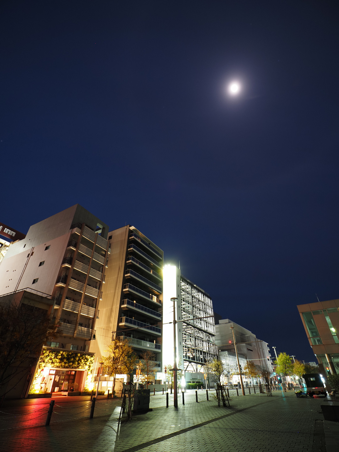 大手モールの夜