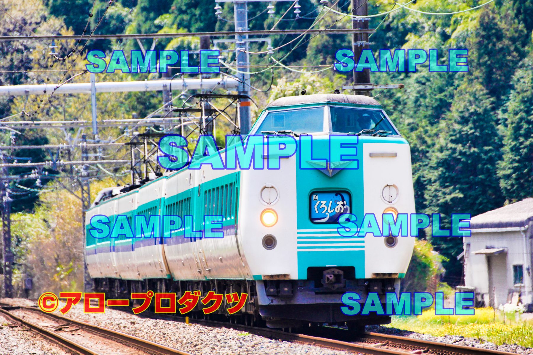 kin0031【ダウンロード画像 381系 特急くろしお号】