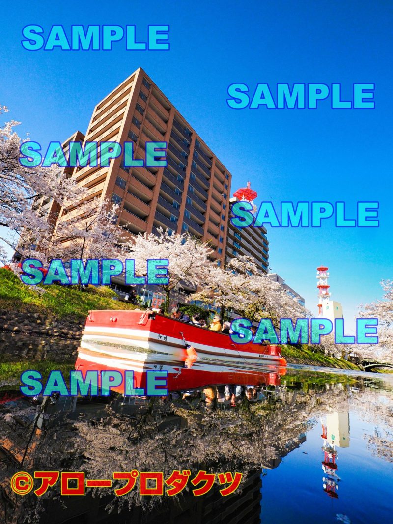 sce0052【ダウンロード画像　春の富山市　松川遊覧船】