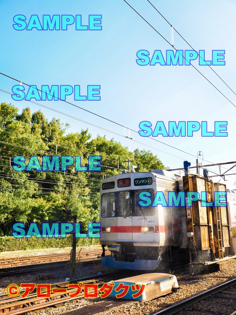 toy0006【ダウンロード画像　清掃中の富山地方鉄道　元東急①】