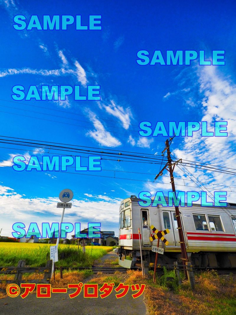 toy0012【ダウンロード画像　勝手踏切を行く富山地方鉄道】