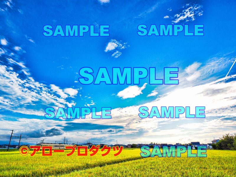 toy0014【ダウンロード画像　青空のもとの富山地方鉄道】