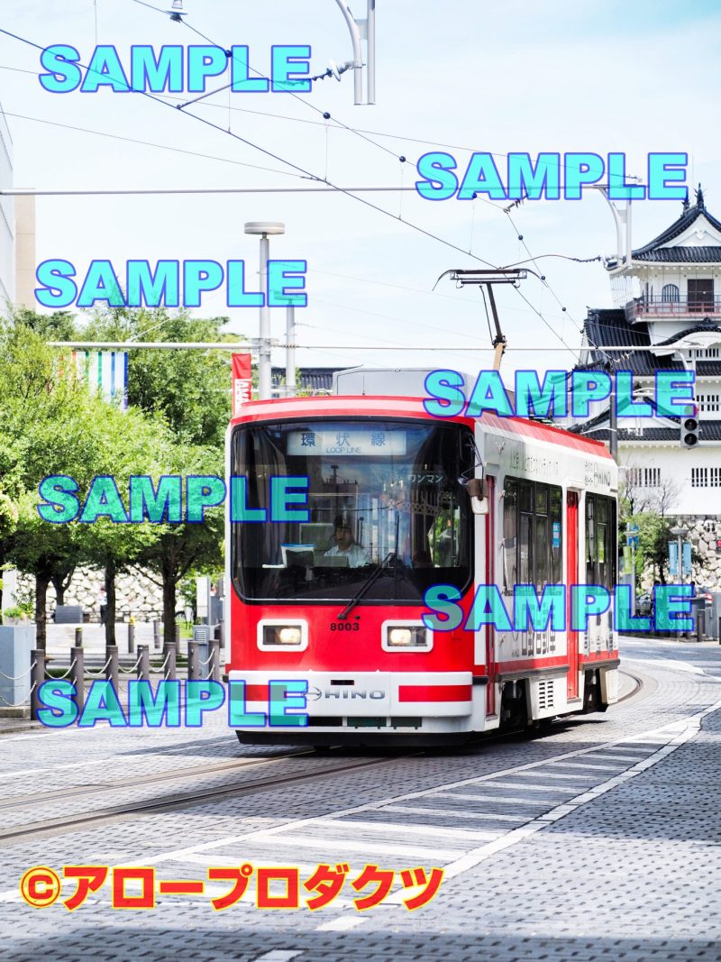 toy0030【ダウンロード画像　富山市内電車環状線デ8000形】