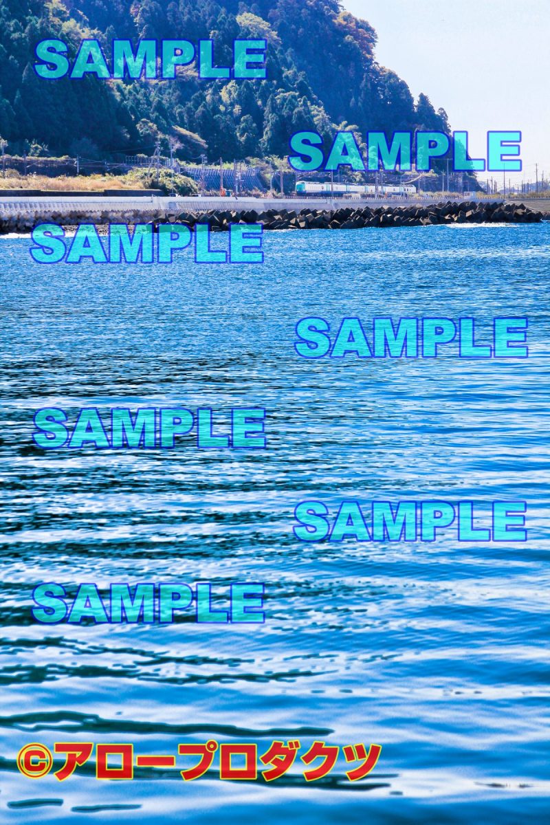 toy0043【ダウンロード画像　海沿いを行く485系特急北越】