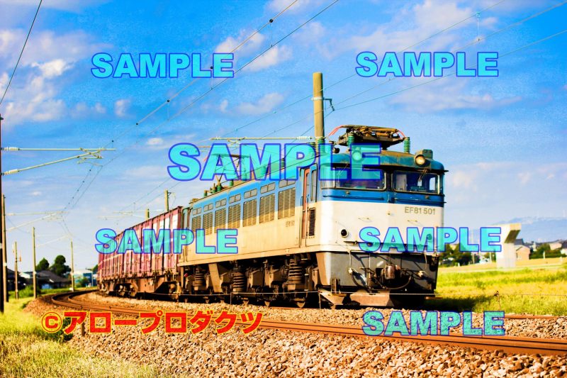 toy0104【ダウンロード画像　EF81　500番台】