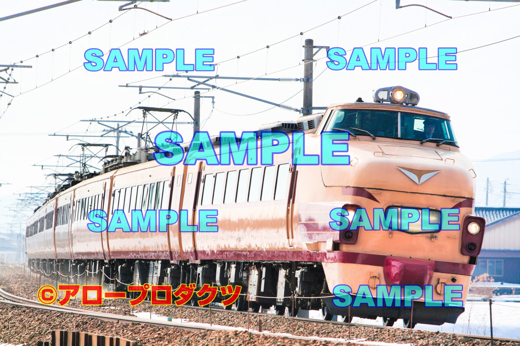 アロープロダクツの写真：489系