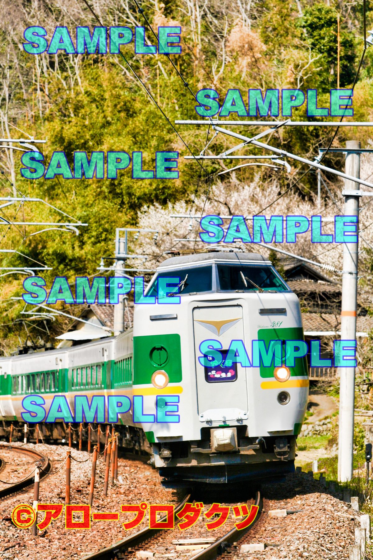chu0003【ダウンロード画像　JR伯備線　381系特急やくも】