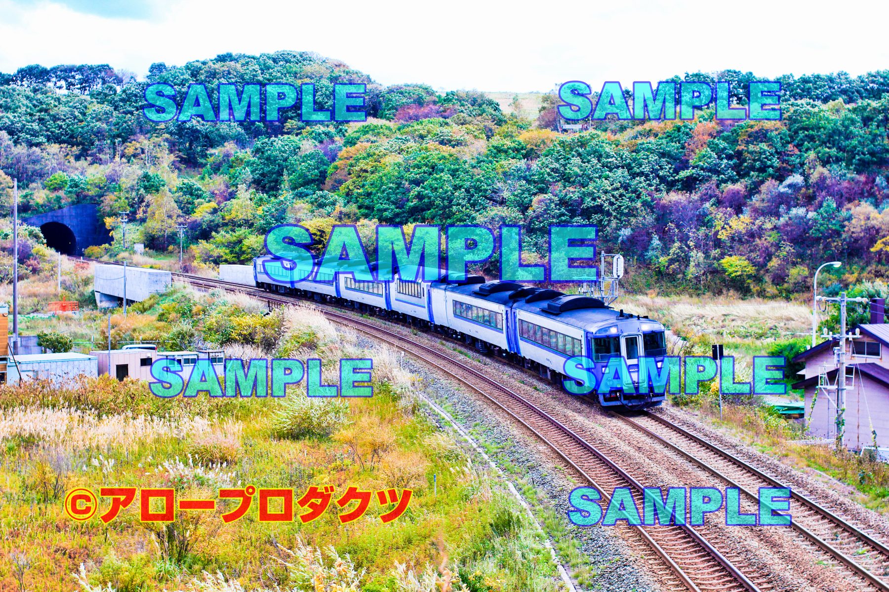 hok0011【ダウンロード画像 室蘭線を行くJR北海道の特急北斗号】