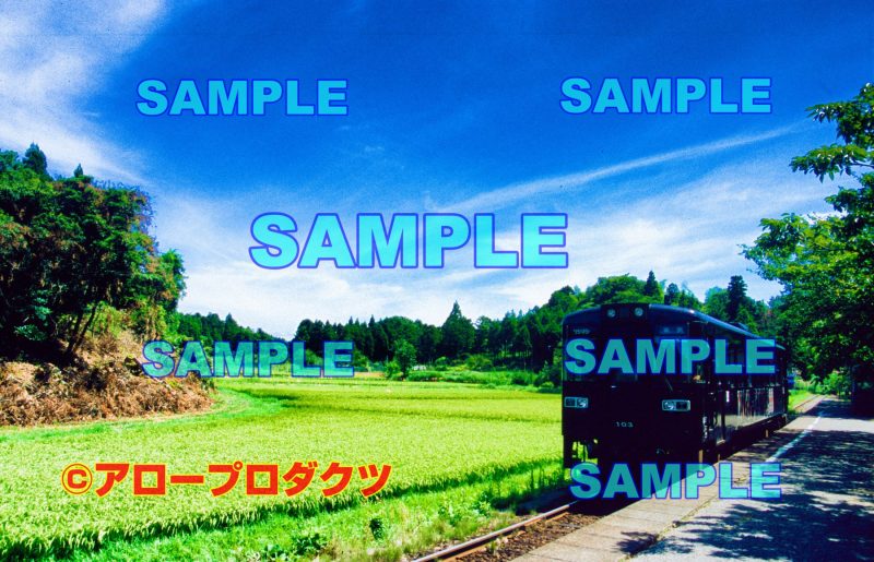 hrk0031【ダウンロード画像　石川県のと鉄道能登線　蛸島駅最後の夏2】
