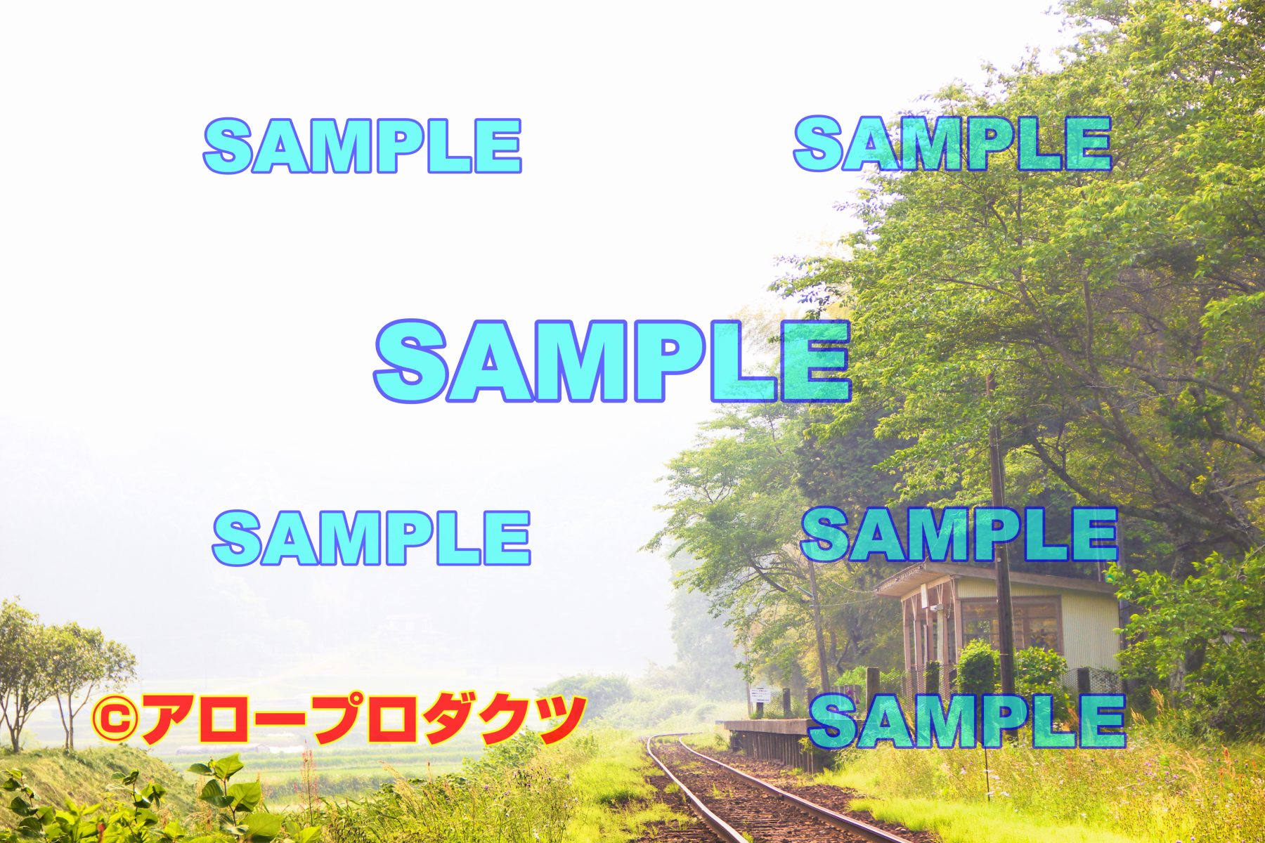 kan0085【ダウンロード画像 春ののどかな千葉県・小湊鉄道の駅】