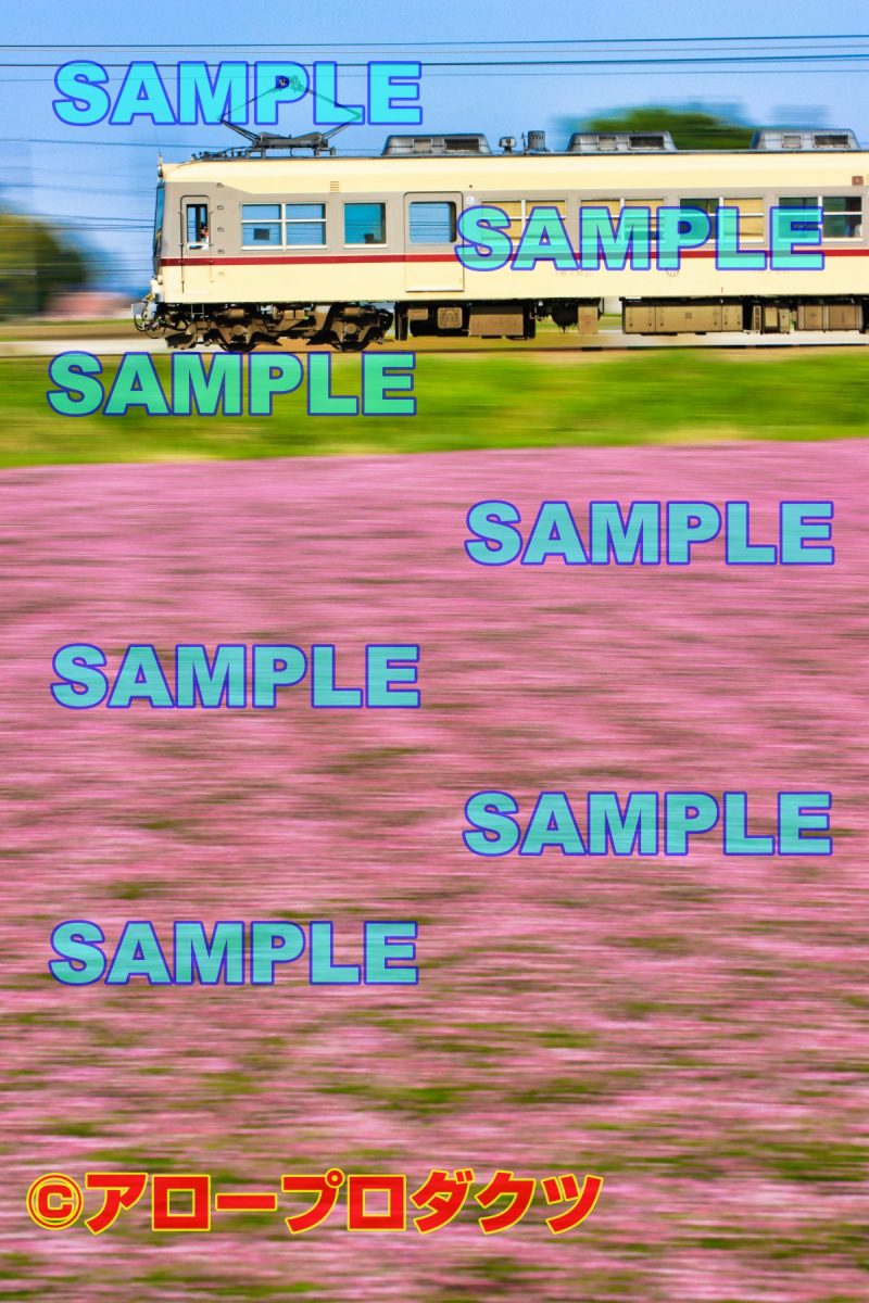 toy0047【ダウンロード画像　レンゲ畑と地鉄流し撮り】