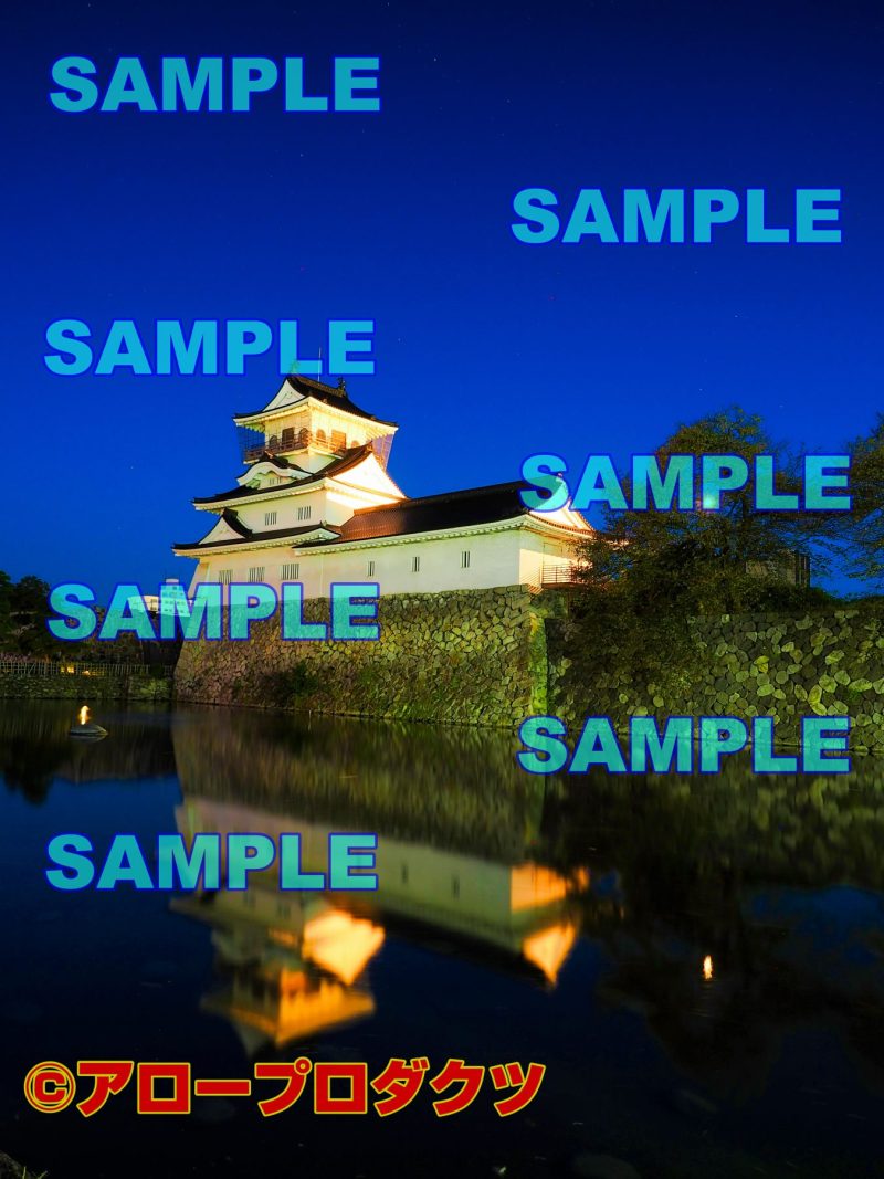 sce0144【ダウンロード画像　富山城　夜明け　縦位置】