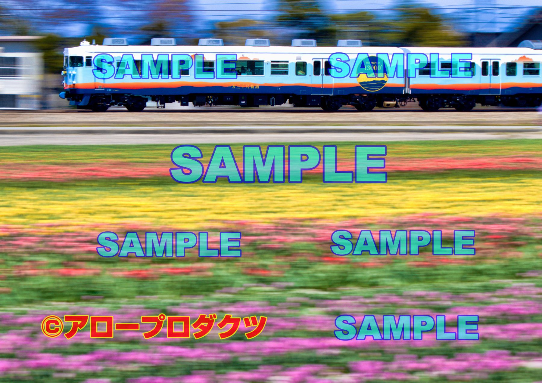 IKOIKOSOGAWA代表が撮影の鉄道写真