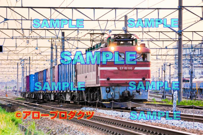 toy0221【ダウンロード画像 北陸線を行く貨物列車 EF81けん引】
