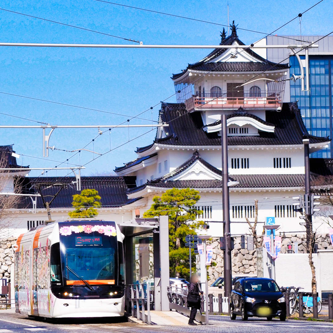 Flower Portram with Toyama castle　フラワーポートラム