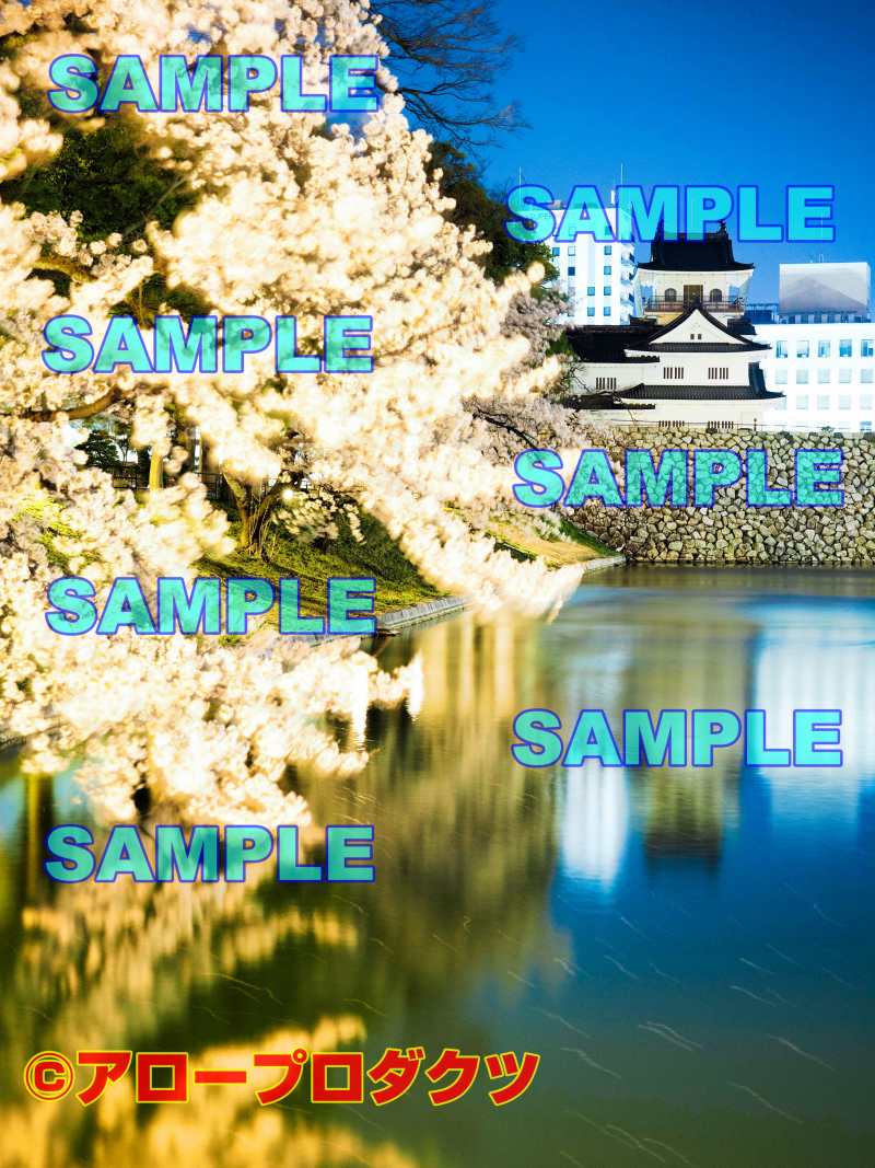 sce0167【ダウンロード画像　富山城とお濠とサクラ　標準・縦位置】
