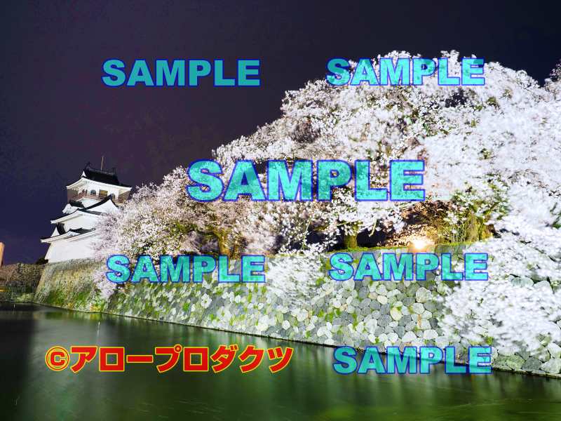 sce0168【ダウンロード画像　富山城とお濠とサクラ城址大通り側横位置】