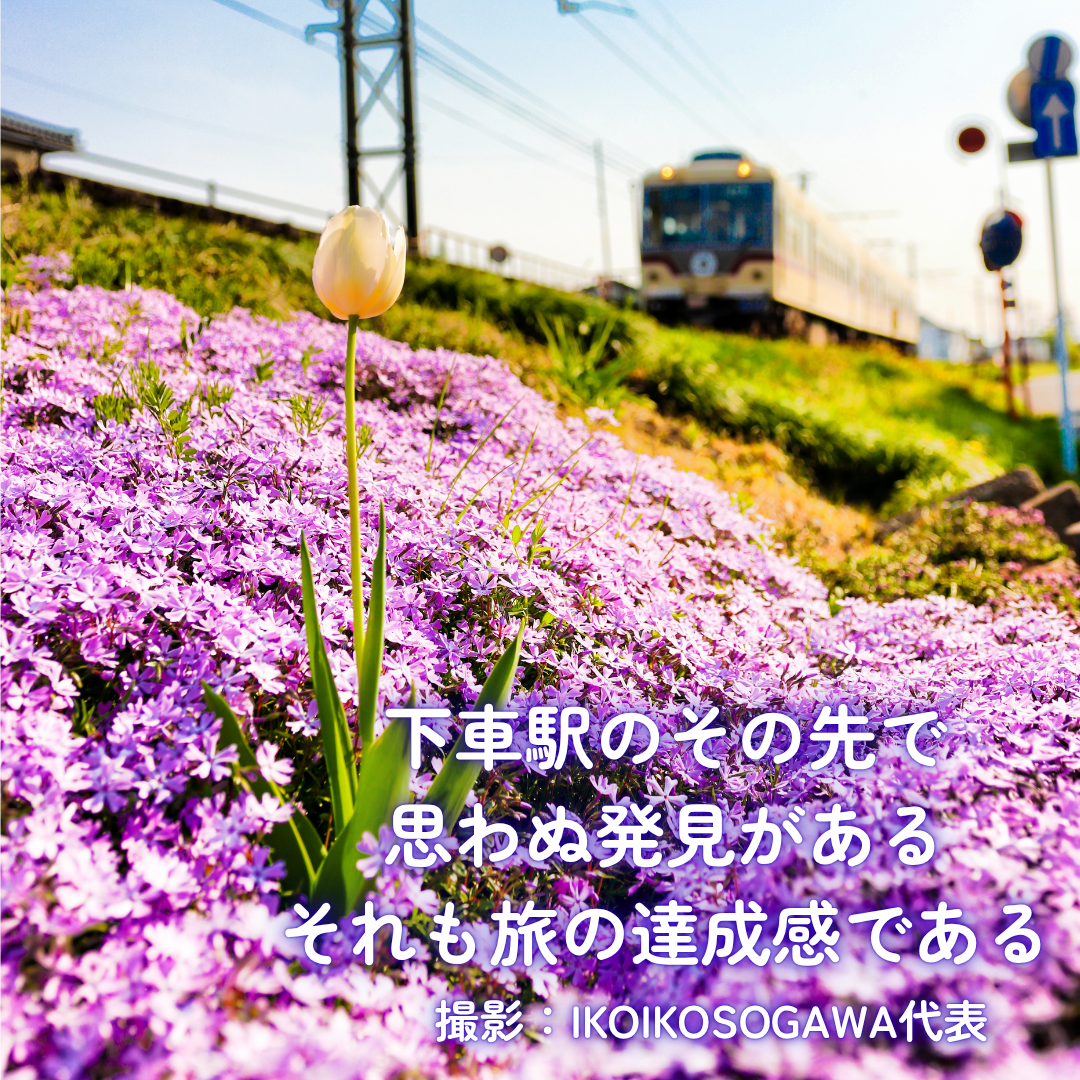 総曲輪で楽しめる「市内電車からの富山地方鉄道」